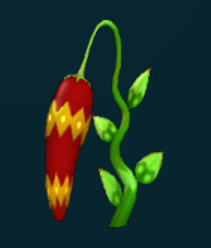 Chili