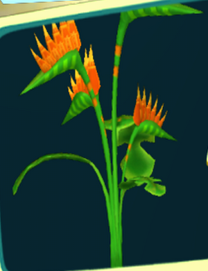 Bird of Paradise.png
